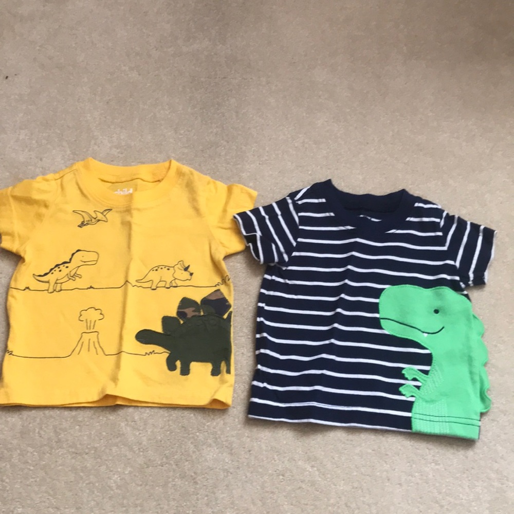 Dinosaur shirts